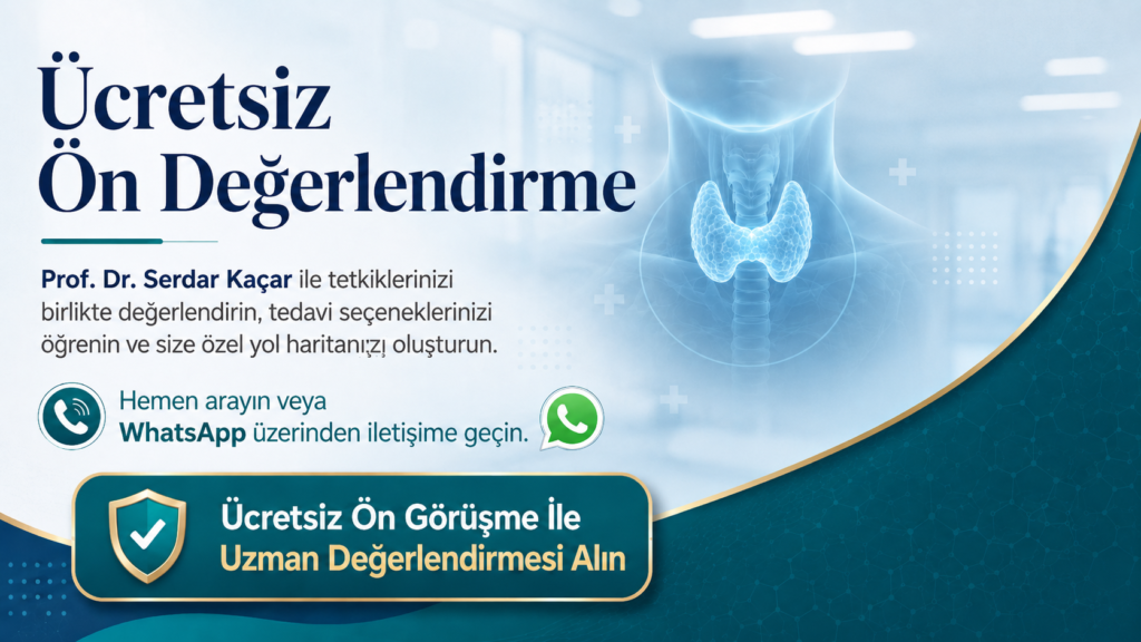 serdar-kacar